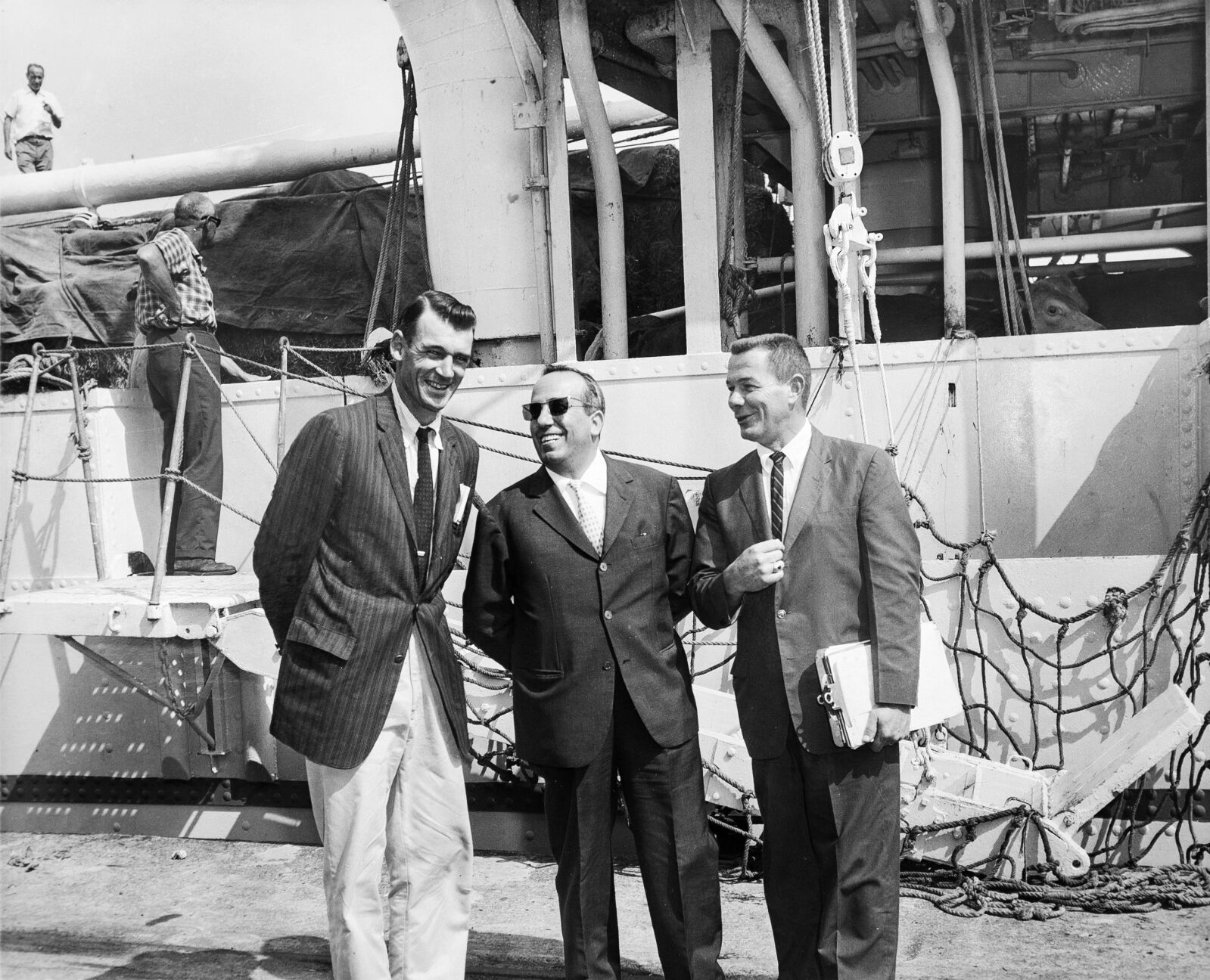 photo_ft_news_cattle-2_196508.jpg